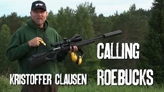 Calling roebucks with Kristoffer Clausen