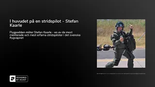 I huvudet på en stridspilot - Stefan Kaarle