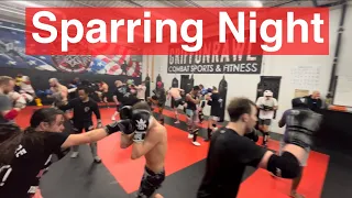 Controlled Sparring With 5 Different Gyms