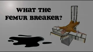 What is the Femur Breaker?