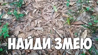 ТЕСТ. Найди животное на фото 🐛 БУДЬ В КУРСЕ TV