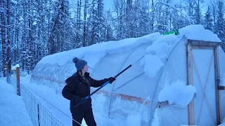 The Snowiest Year In Alaskan History... | Snow Removal On Our Homestead