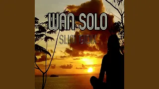 Wan Solo