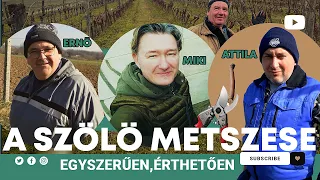 🍇 A SZŐLŐ METSZÉSE - négyen egy gatyában (  A LELKES , A PROFI, és a BÉRMETSZŐ )