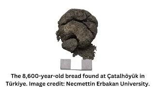 Archaeologists find surprisingly well-preserved 8,600-year-old bread in Türkiye