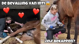 De BEVALLING van Inti, Jazz is kreupel & Zelf bekappen! | ashleyvrijn VLOG #18