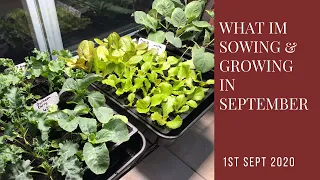 What I'm Sowing and Growing in September