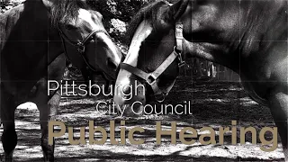 Pittsburgh City Council Public Hearing - 4/14/22