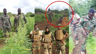 Kuntuwaarey,ciidamada DANAB & Beerta Xashiishka Alshabaab