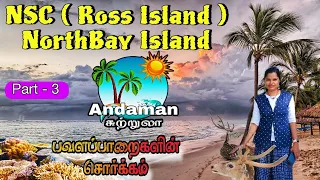 அந்தமான் Day - 3 | Ross Island & NorthBay Island | Water Sports Activities | Budget Trip