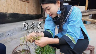 可以吃一整个夏季的野菜-野芹菜 | A wild vegetable that can be enjoyed all summer long - wild celery