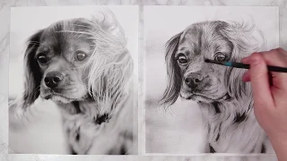 Charcoal Dog Tutorial