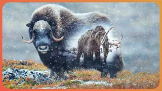 Could This Animal Help Bring Back The Mammoth? (Wildlife Documentary) | Natural Kingdom | Real Wild