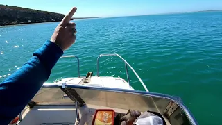 Langebaan Lagoon South Africa 🇿🇦