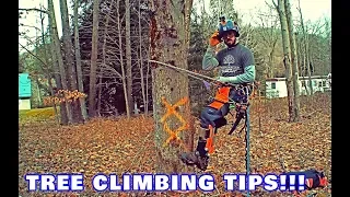 Arborist Tree Climbing Tips!!!