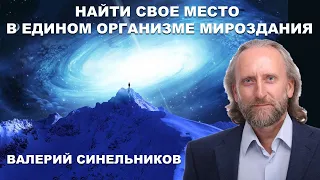 Взять ответственность и стать хозяином своей жизни. Валерий Синельников