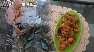 Rare Parrot Fish Catch & Cook! Shock Reality of Living with Remote Island Native Fishermen