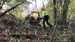 Backar över ett stengärde med huggarvagnen