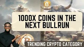 How to FIND 100X - 1000X COINS IN THE NEXT BULL MARKET RUN (CRYPTO CATGORY)