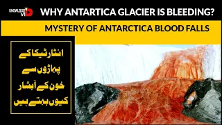 Why antartica glacier is bleeding? | Mystery Of Antarctica Blood Falls | knowledgevid