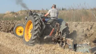 Aratura Piumazzo 2021 - 2#2 - OTO C40, Landini, Fiat 80R e altri trattori a ruote