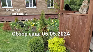 Творю сад. Обзор сада 05.05.2024