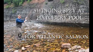 Swinging SPEY FOR SALMON at MARGAREE RIVER'S FISH HATCHERY Pool - A Nova Scotia Fly Fishing Trip