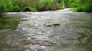 Relaxing river sounds, peaceful forest river flowing ever so gently calms your inner being.  3 hours