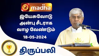 🔴18 May  2024 Holy Mass in Tamil 06:00 PM (Evening Mass) | Madha TV