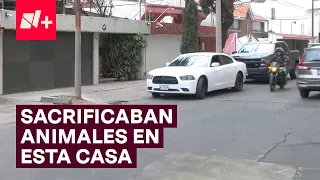 Policías resguardan casa donde sacrificaban animales - N+