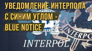 Уведомление Интерпола с синим углом - BLUE NOTICE