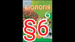 6 "Будова мікроскопа"//6 клас біологія Костікова