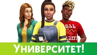 Создаю студентов в Университет Симс 4!