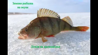 Ловля окуня на мормышку! ловля на мелководье