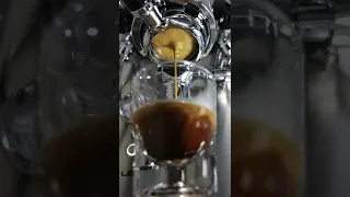 SATISFYING #5 | Lungo Bottomless Extraction (WDT + Tamper) #shorts Lelit MaraX V2  PL62X