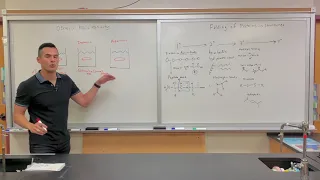 Osmosis: Red blood cell tonicity