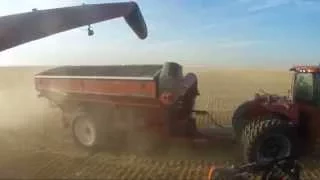 Huge farm in Alberta canada over 65 000 acres B&D WALTER FARMS Walter's harvesting