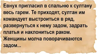 Султан приказал всему гарему развернуться к нему задом и наклониться...