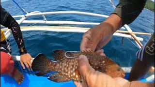 Ito ang Pinaka Magandang Pamain sa Malalaking Isda