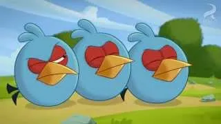 Angry Birds Toons S01E16 Double