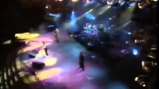 george thorogood - rockpalast (1995)