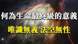 從身心靈到不可言說的道，生命最終級的意義究竟是什麼？唯識無義，法空無性。#能量#業力 #宇宙 #精神 #提升 #靈魂 #財富 #認知覺醒 #修行