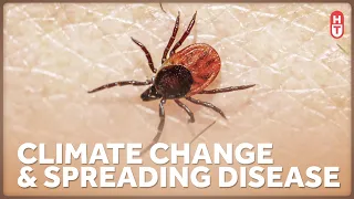 Ticks, Mosquitos, and How Climate Change Could Increase Disease