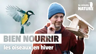 7 règles d’or pour nourrir les oiseaux en hiver (No 369)