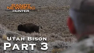 2018 Utah Archery Bison with Randy Newberg (Part 3)