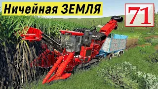 Farming Simulator 19 - Комбайн для ТРОСТНИКА - Покупка ЛОШАДЕЙ - Фермер на НИЧЕЙНОЙ ЗЕМЛЕ # 71