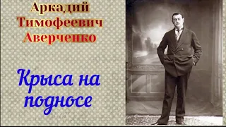 Крыса на подносе. Аркадий Аверченко. Аудиокнига 📚🎧