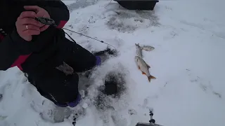 Зимняя рыбалка Ловля на безмотылку сороги-плотвы на Горе Море зима 2018-2019г