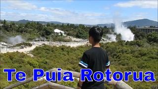 Te Puia, Rotorua, New Zealand