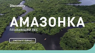 Неизведанные острова Амазонка плавающий лес Discovery Channel. Full Films